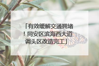 有效缓解交通拥堵！同安区滨海西大道调头区改造完工