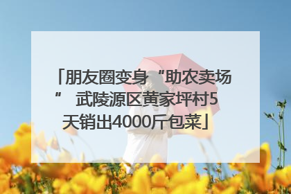朋友圈变身“助农卖场” 武陵源区黄家坪村5天销出4000斤包菜
