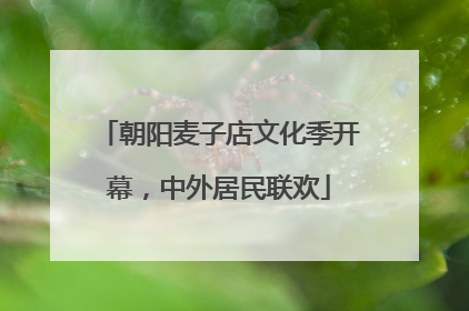朝阳麦子店文化季开幕，中外居民联欢