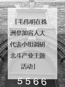 毛伟明在株洲参加省人大代表小组调研北斗产业主题活动