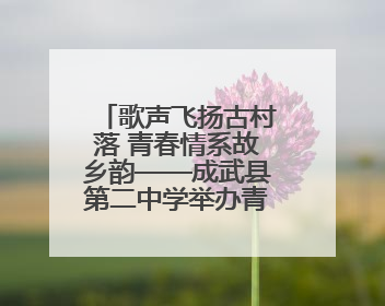 歌声飞扬古村落 青春情系故乡韵——成武县第二中学举办青春歌会