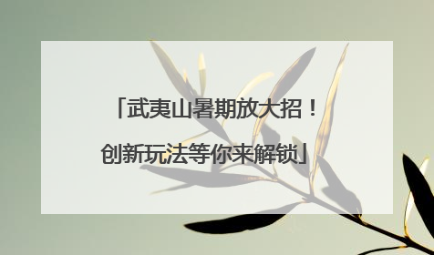 武夷山暑期放大招！创新玩法等你来解锁