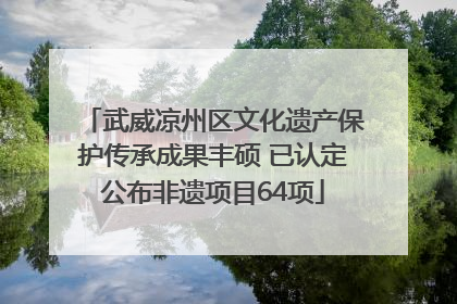武威凉州区文化遗产保护传承成果丰硕 已认定公布非遗项目64项