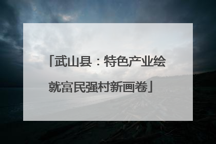 武山县：特色产业绘就富民强村新画卷