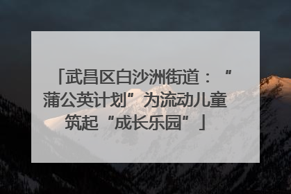 武昌区白沙洲街道：“蒲公英计划”为流动儿童筑起“成长乐园”