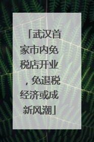 武汉首家市内免税店开业，免退税经济或成新风潮