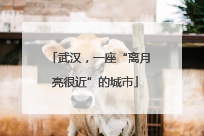 武汉，一座“离月亮很近”的城市
