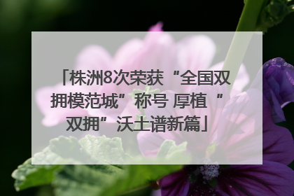 株洲8次荣获“全国双拥模范城”称号 厚植“双拥”沃土谱新篇