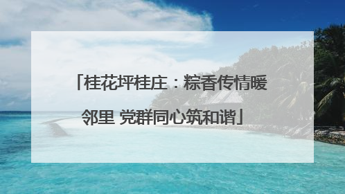 桂花坪桂庄：粽香传情暖邻里 党群同心筑和谐