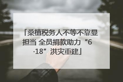桑植税务人不等不靠显担当 全员捐款助力“6·18”洪灾重建