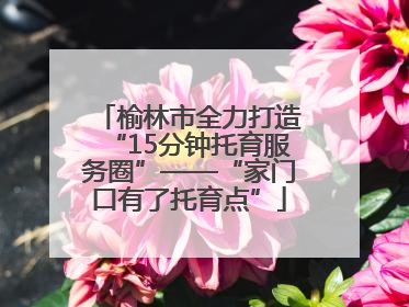 榆林市全力打造“15分钟托育服务圈”——“家门口有了托育点”