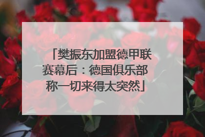 樊振东加盟德甲联赛幕后：德国俱乐部称一切来得太突然