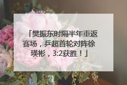 樊振东时隔半年重返赛场，乒超首轮对阵徐瑛彬，3:2获胜！