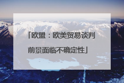 欧盟：欧美贸易谈判前景面临不确定性