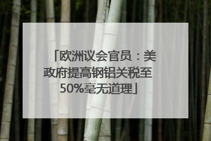 欧洲议会官员：美政府提高钢铝关税至50%毫无道理