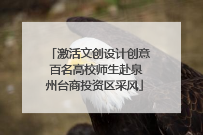 激活文创设计创意 百名高校师生赴泉州台商投资区采风