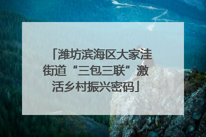 潍坊滨海区大家洼街道“三包三联”激活乡村振兴密码