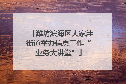 潍坊滨海区大家洼街道举办信息工作“业务大讲堂”