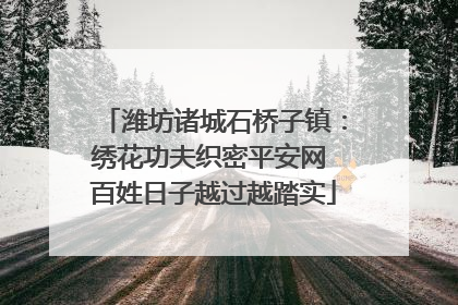 潍坊诸城石桥子镇：绣花功夫织密平安网 百姓日子越过越踏实