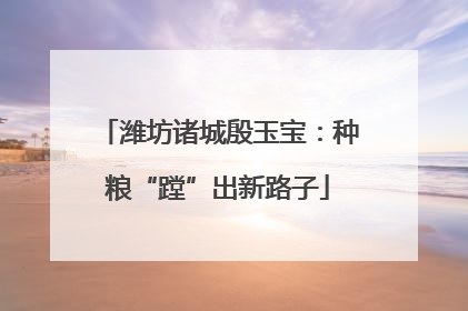 潍坊诸城殷玉宝：种粮“蹚”出新路子