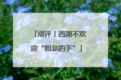 潮评丨西湖不欢迎“粗暴的手”