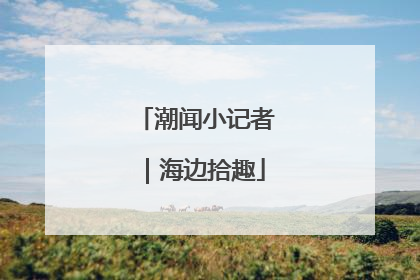 潮闻小记者｜海边拾趣