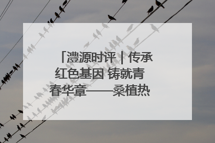 澧源时评｜传承红色基因 铸就青春华章——桑植热土上的青春长征