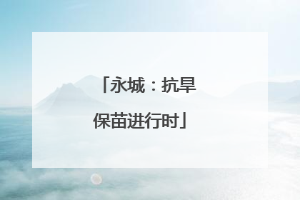 永城：抗旱保苗进行时