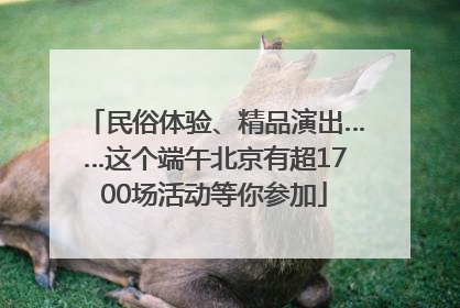 民俗体验、精品演出……这个端午北京有超1700场活动等你参加