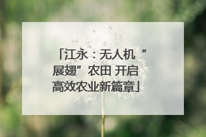 江永：无人机“展翅”农田 开启高效农业新篇章