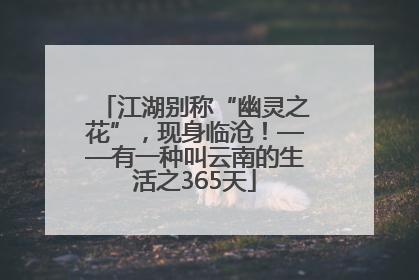 江湖别称“幽灵之花”，现身临沧！——有一种叫云南的生活之365天