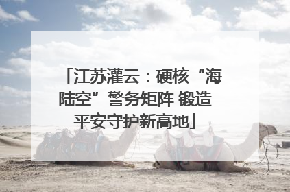 江苏灌云：硬核“海陆空”警务矩阵 锻造平安守护新高地