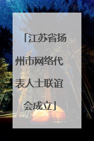 江苏省扬州市网络代表人士联谊会成立