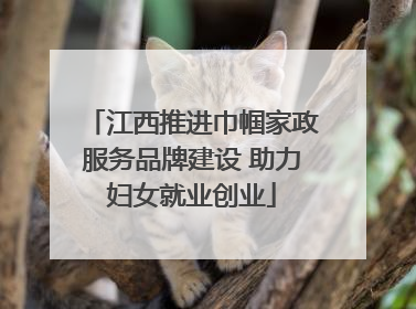 江西推进巾帼家政服务品牌建设 助力妇女就业创业