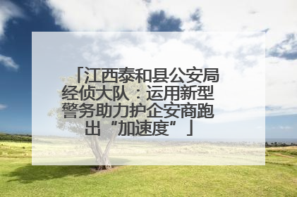 江西泰和县公安局经侦大队：运用新型警务助力护企安商跑出“加速度”