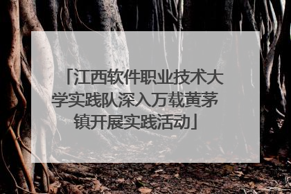 江西软件职业技术大学实践队深入万载黄茅镇开展实践活动