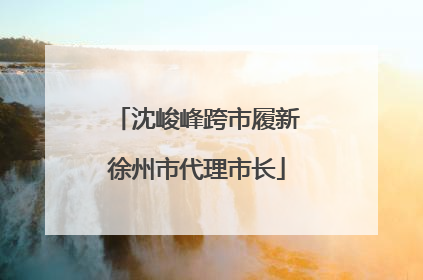 沈峻峰跨市履新徐州市代理市长