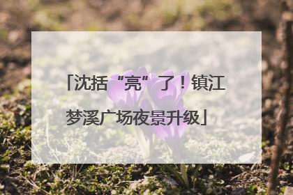 沈括“亮”了！镇江梦溪广场夜景升级