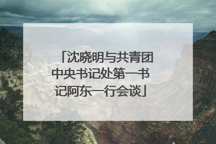 沈晓明与共青团中央书记处第一书记阿东一行会谈
