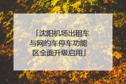 沈阳机场出租车与网约车停车功能区全面升级启用