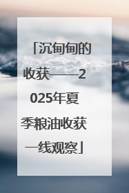 沉甸甸的收获——2025年夏季粮油收获一线观察