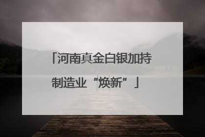 河南真金白银加持制造业“焕新”