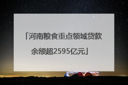 河南粮食重点领域贷款余额超2595亿元