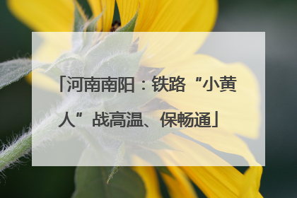 河南南阳：铁路“小黄人”战高温、保畅通
