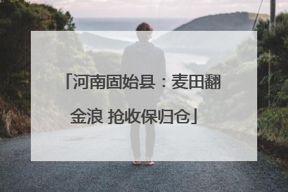 河南固始县：麦田翻金浪 抢收保归仓