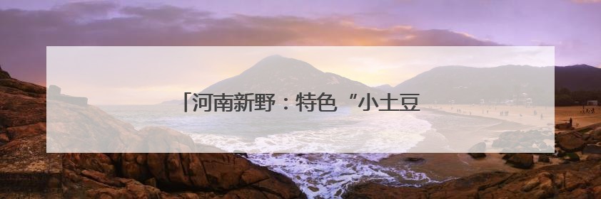 河南新野：特色“小土豆”变身致富“金豆豆”