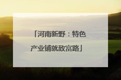 河南新野：特色产业铺就致富路