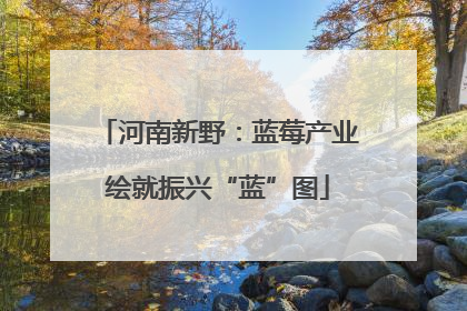 河南新野：蓝莓产业绘就振兴“蓝”图