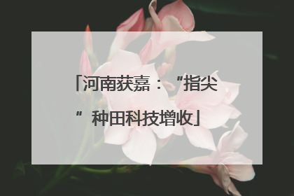 河南获嘉：“指尖”种田科技增收