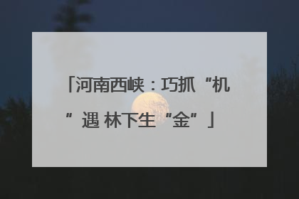 河南西峡：巧抓“机”遇 林下生“金”